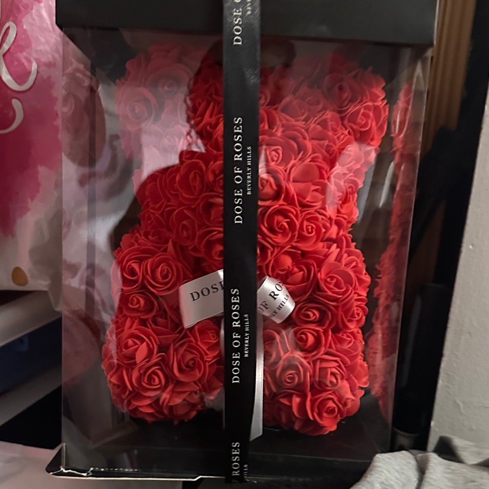 Dose of Roses Red Rose Teddy Bear-Medium